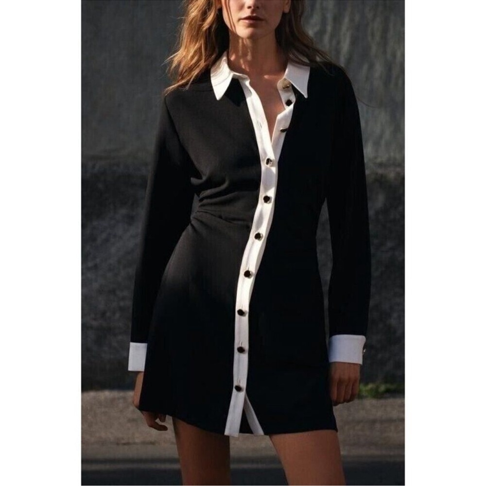 Zara Black and White Long Sleeve Dress